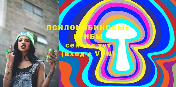 спиды Кукмор