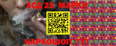 гидропоника Гусев