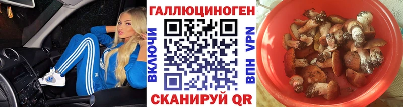 как найти наркотики  Мурино  Галлюциногенные грибы Cubensis 