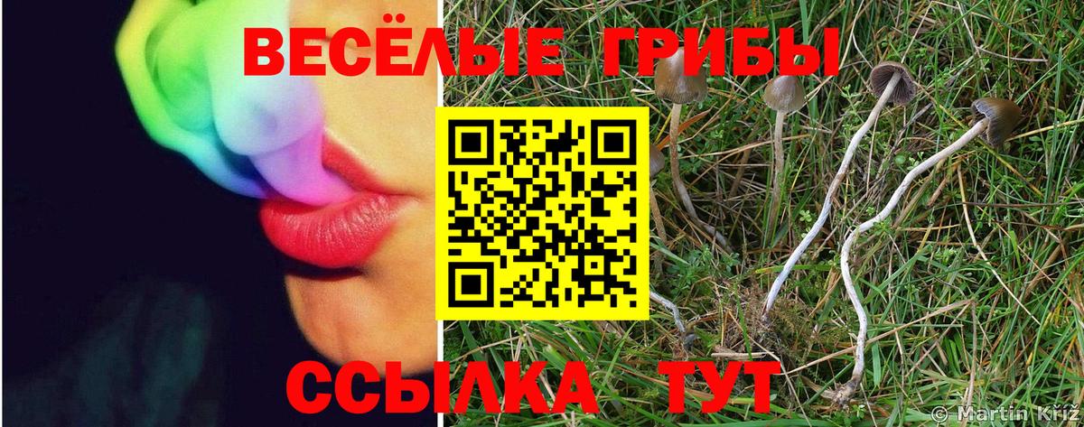 Псилоцибиновые грибы мицелий  Псилоцибиновые грибы ЛСД  Вход с VPN  Мурино 